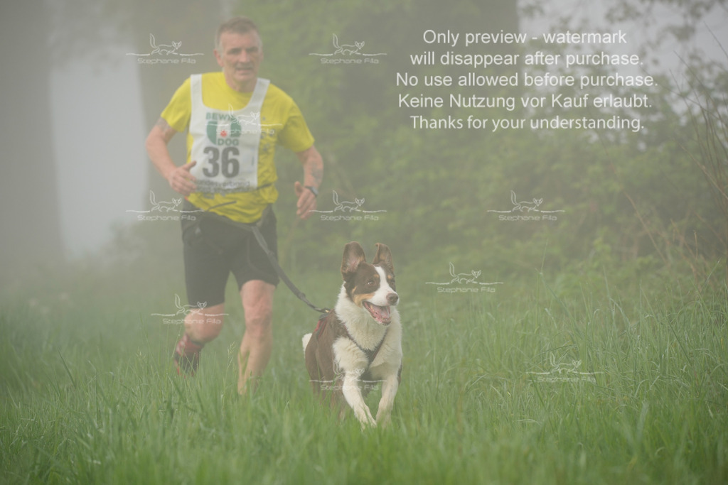 SA_GL2-195 | stephaniefillaphotographie - Realisiert mit Pictrs.com