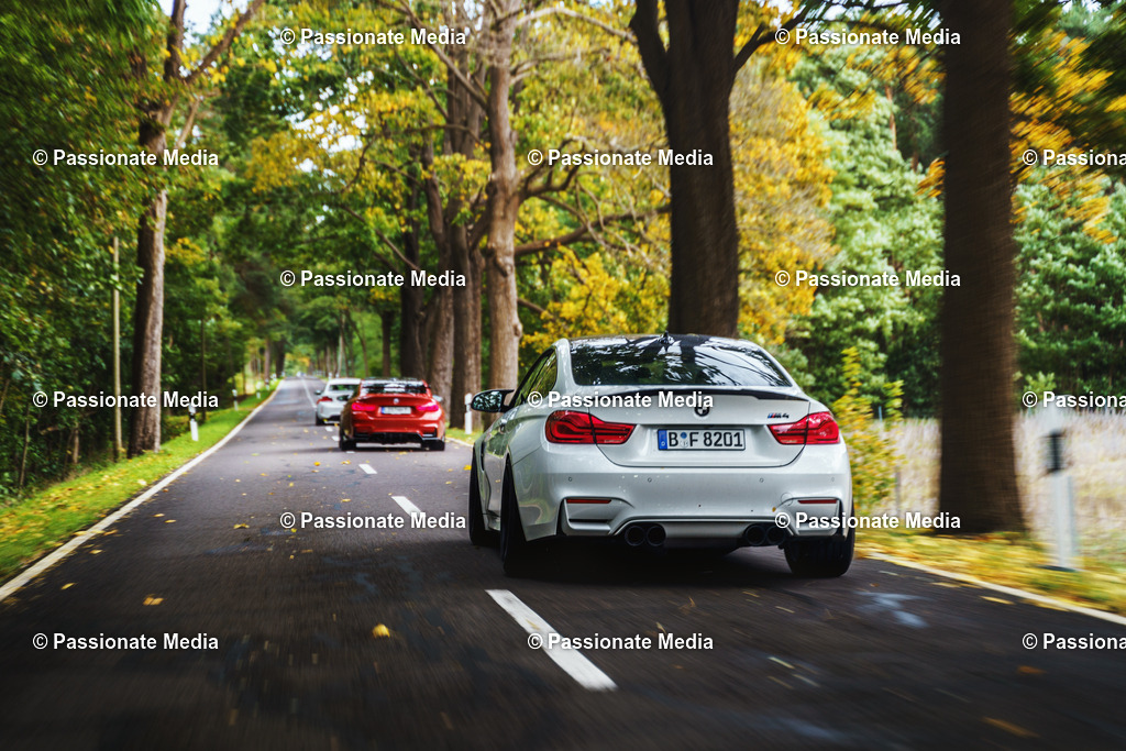 _DSC6310 | Passionate Media, dein Fotograf aus Brandenburg, Märkisch Oderland, im Bereich Motorsport, Autos und Motorräder sowie Events und auch Hunde. Shootings oder auch Eventbegleitungen können bei mir gebucht we