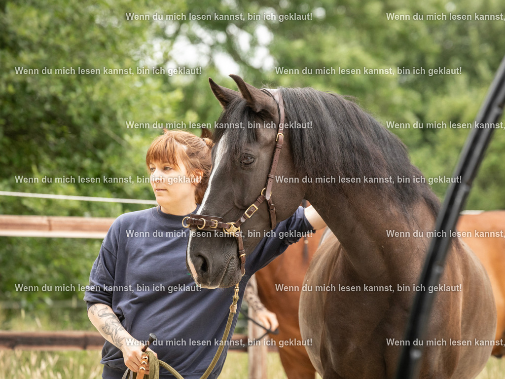 598A6858 | photographylinaismer - Realisiert mit Pictrs.com