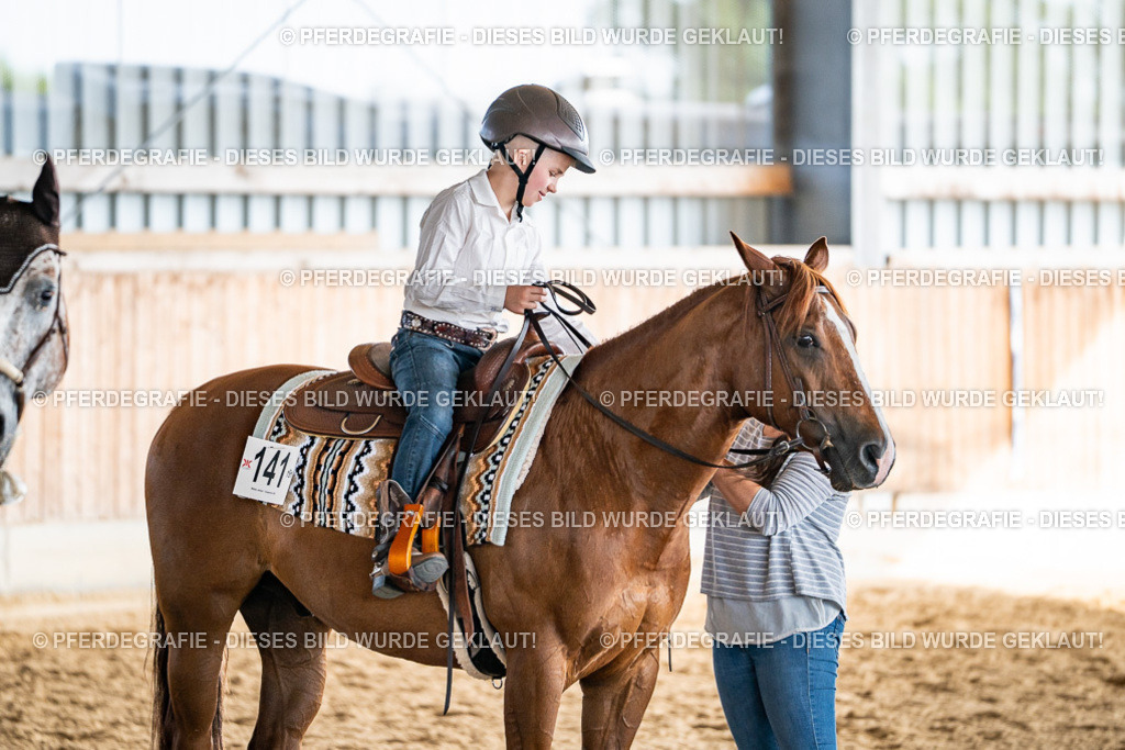 DSC08701 | Pferdegrafie