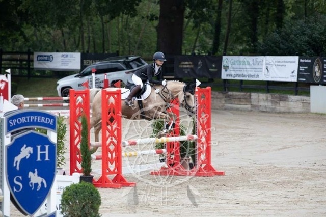 2B4A2264 | pixelfaenger - Realisiert mit Pictrs.com