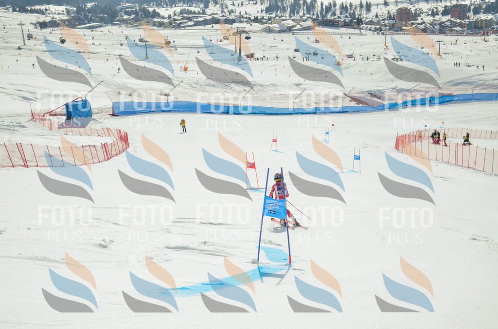 _ELE4287 | holidayphoto