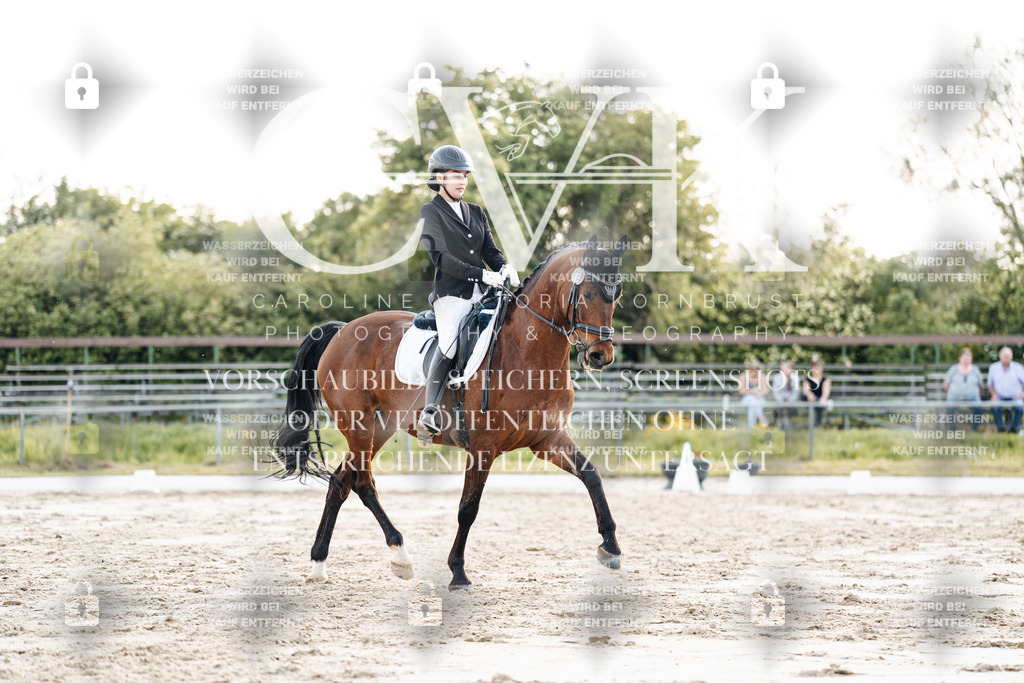 CK909845 | Turnierfotografie Pferdefotografie Trier Rheinland-Pfalz Pferdesport Reitsport Tierfotografie Sportfotografie Pferdevideo Pferdevideografie Equestrianvideography equestrianphotography  - Realisiert mit Pictrs.com