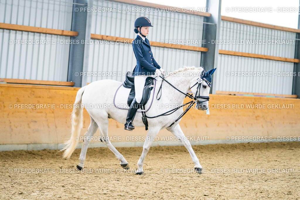 DSC04842 | Pferdegrafie