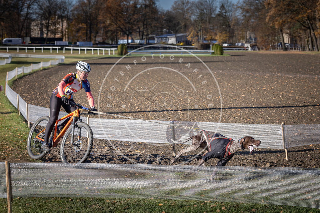 CaniXpix_DV3A4450 | Hundefotografie, Tierfotograf, Pfotenfotografie, Fotoshooting Hund, Hunde Portrait, Hundesport, Hundeportraits, Heideshooting, Hunde, Sportfotograf, Hundefotograf, Turnierhundsport, THS,  - Realisiert mit Pictrs.com