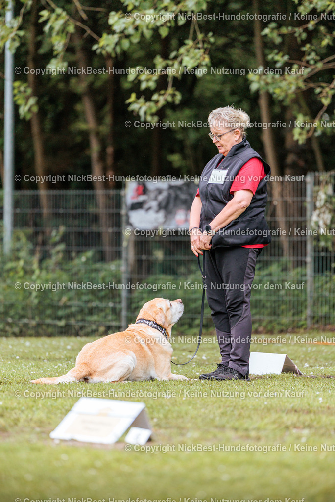 RO-Blumenthal-2026-Nickbest-Hundefotografie-0731 | Dein Hund! Dein Moment! Deine Erinnerungen! Hundefotografie in Bremen Blumenthal. Ich fange die besonderen Momente deines Vierbeiners ein – ob Indoor mit Blitzanlage oder in der freien Natur. Sicher dir dein Moment und dein Termin für eure Erinnerungen.