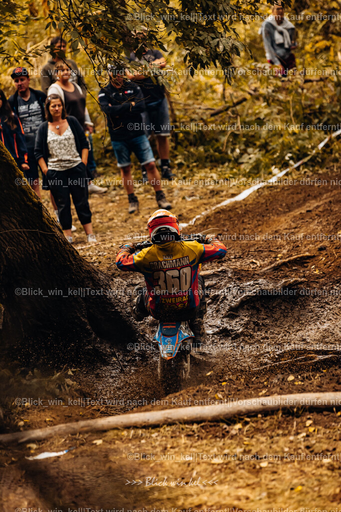 E68A6032 | blick_win_kel