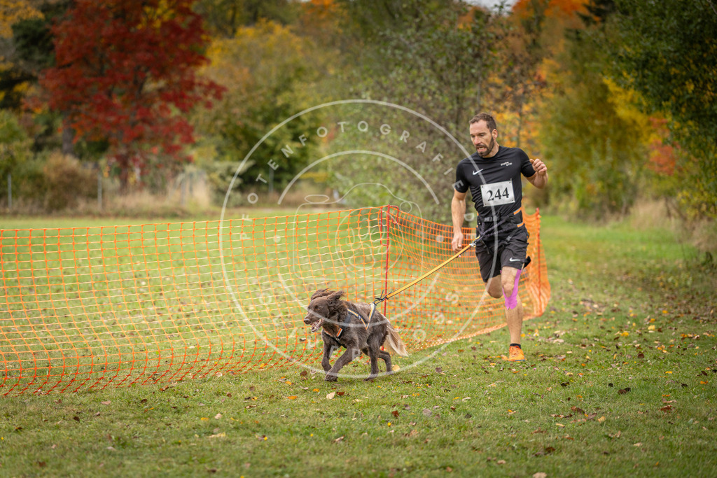 Pfotenfotografie_DV3A4263 | Hundefotografie, Tierfotograf, Pfotenfotografie, Fotoshooting Hund, Hunde Portrait, Hundesport, Hundeportraits, Heideshooting, Hunde, Sportfotograf, Hundefotograf, Turnierhundsport, THS,  - Realisiert mit Pictrs.com