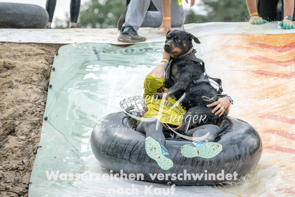 1226_ZZ98122 | kk-dogfotos