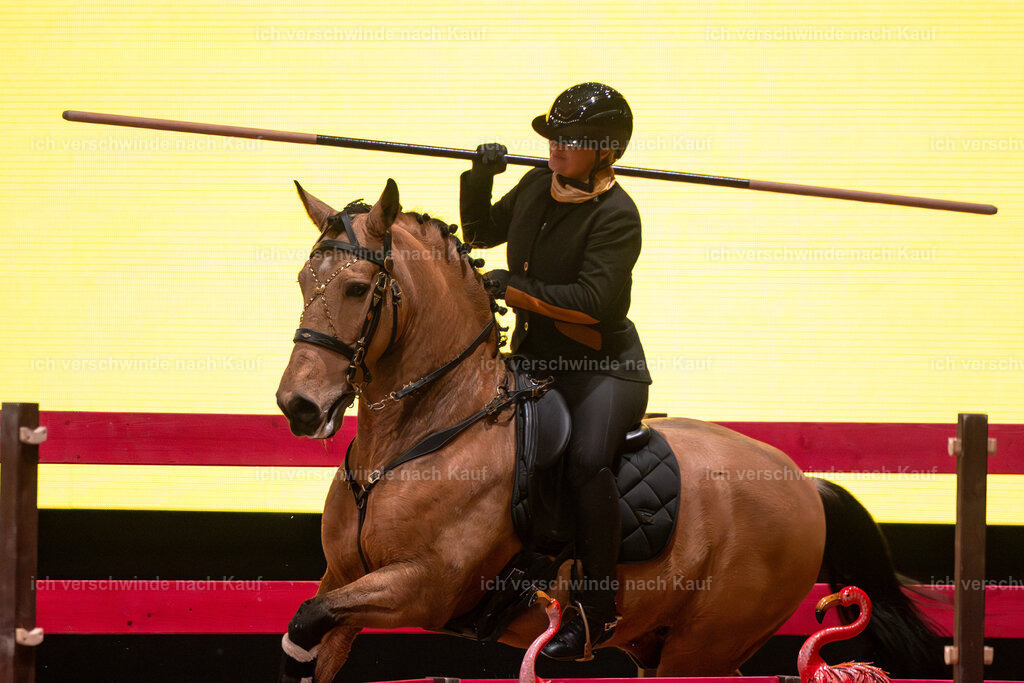 JoseraCup-143 | working equitationturnier fotograf videograf stoibphotography marixx film working equitation deutschland reitsport turnierfotografie eventfotografie equestrian events