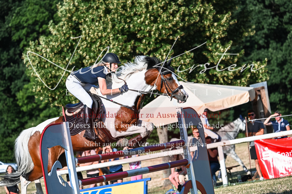 DSC_2851 | Pferde- und Turnierfotografie in Westsachsen. Pferdeportraits, Auftragszeichnungen und intuitive Kunst.