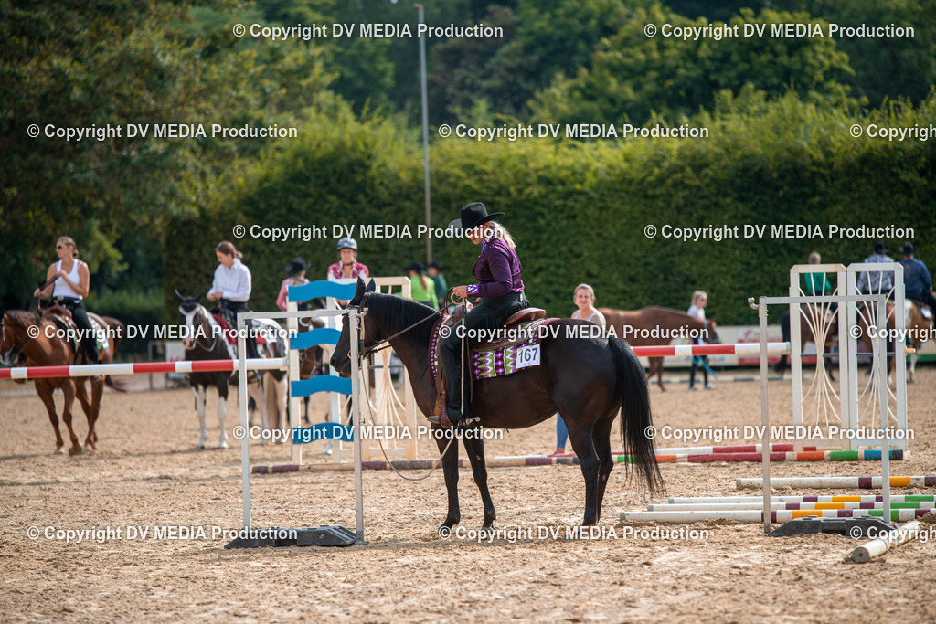 ZS2_7618 | dv-media-shop - Realisiert mit Pictrs.com