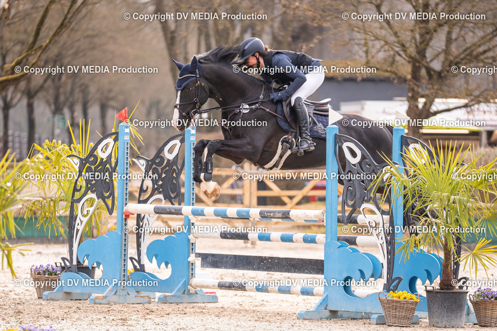 Kranichstein Tag 2-1350 | dv-media-shop - Realisiert mit Pictrs.com