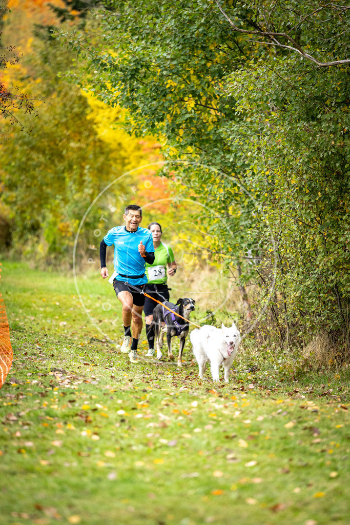 Pfotenfotografie_DV3A2048 | Hundefotografie, Tierfotograf, Pfotenfotografie, Fotoshooting Hund, Hunde Portrait, Hundesport, Hundeportraits, Heideshooting, Hunde, Sportfotograf, Hundefotograf, Turnierhundsport, THS,  - Realisiert mit Pictrs.com