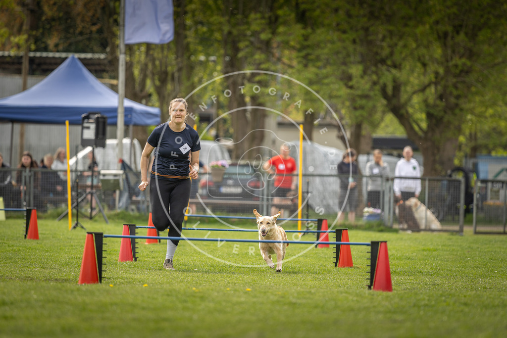 Pfotenfotografie_DV3A5792 | Hundefotografie, Tierfotograf, Pfotenfotografie, Fotoshooting Hund, Hunde Portrait, Hundesport, Hundeportraits, Heideshooting, Hunde, Sportfotograf, Hundefotograf, Turnierhundsport, THS,  - Realisiert mit Pictrs.com