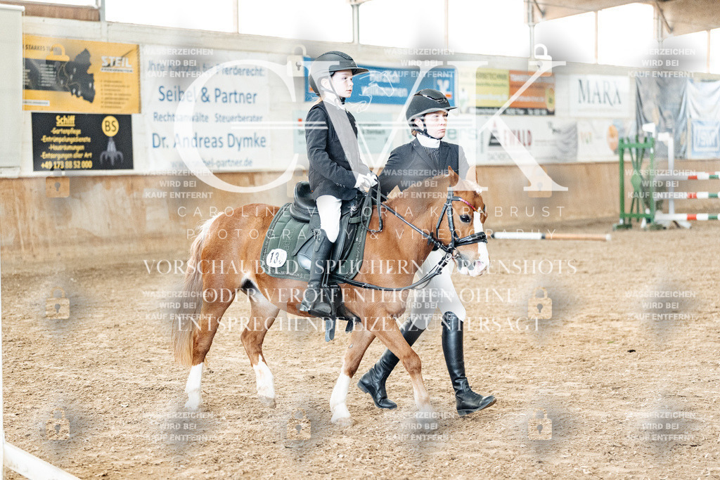 CK905572 | Turnierfotografie Pferdefotografie Trier Rheinland-Pfalz Pferdesport Reitsport Tierfotografie Sportfotografie Pferdevideo Pferdevideografie Equestrianvideography equestrianphotography  - Realized with Pictrs.com
