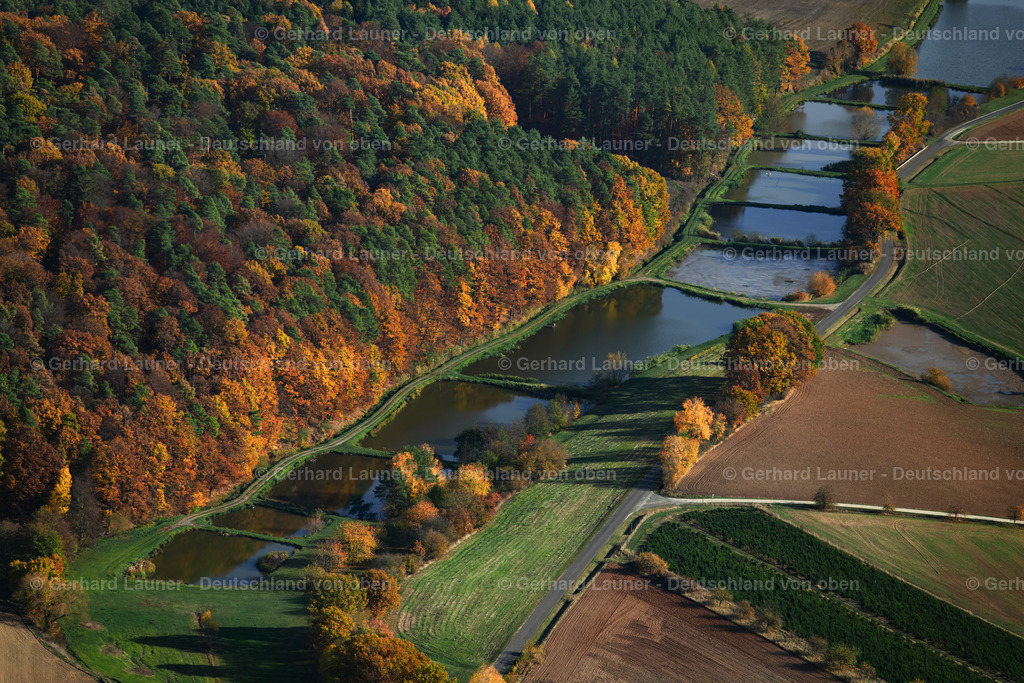 3808081 | Fischteiche bei Eckersbach