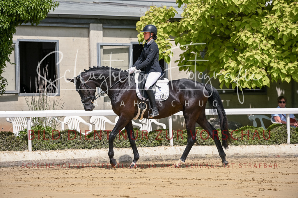 Schugtsche-Aluta25-48.Reitpferfdeprf.-180 | Schugtsche Fotografie - Realisiert mit Pictrs.com