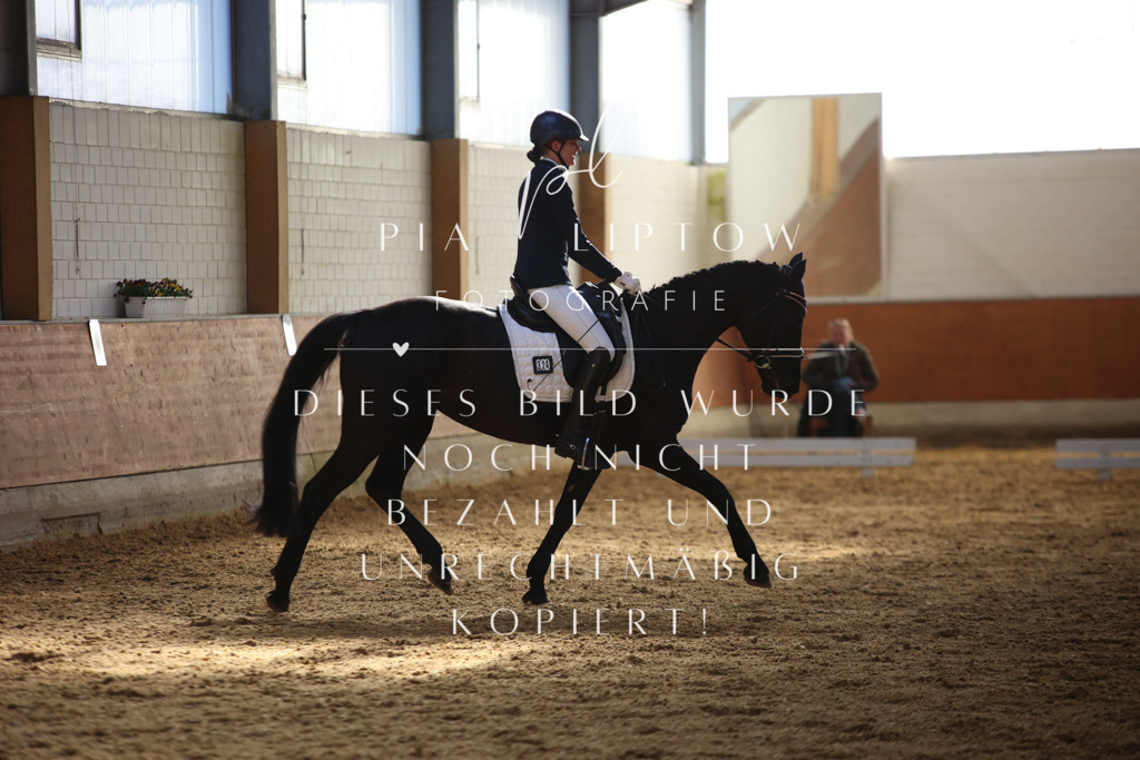 IMGT6552 | pl-fotografie