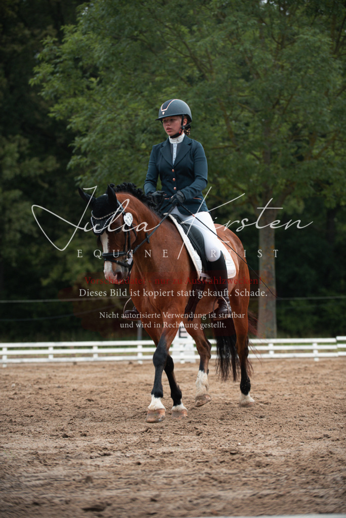 DSC_9826 | Pferde- und Turnierfotografie in Westsachsen. Pferdeportraits, Auftragszeichnungen und intuitive Kunst.