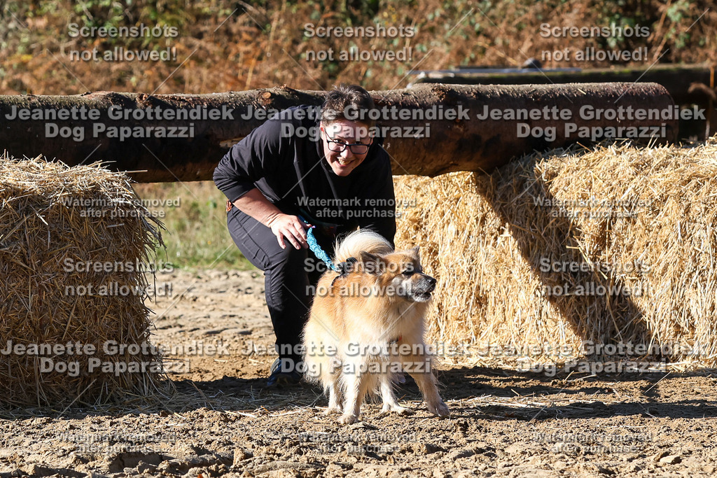 Dog Paparazzi - Strongdog 10-25-2463 | Dog Paparazzi Jeanette Grottendiek Fotografie & Videografie - Realisiert mit Pictrs.com