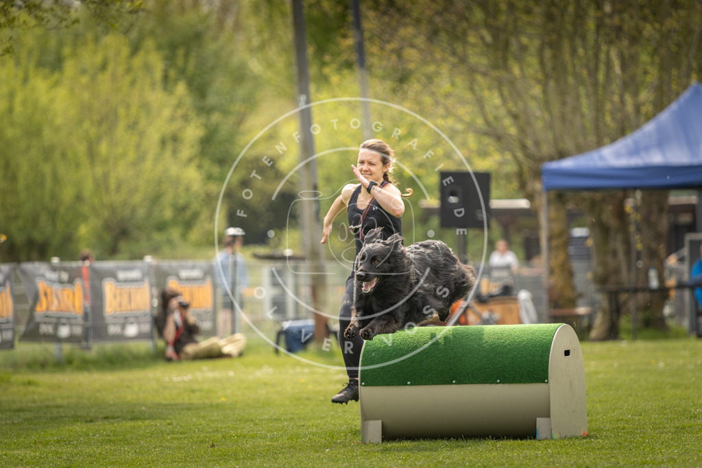 Pfotenfotografie_DV3A6371 | Hundefotografie, Tierfotograf, Pfotenfotografie, Fotoshooting Hund, Hunde Portrait, Hundesport, Hundeportraits, Heideshooting, Hunde, Sportfotograf, Hundefotograf, Turnierhundsport, THS,  - Realisiert mit Pictrs.com