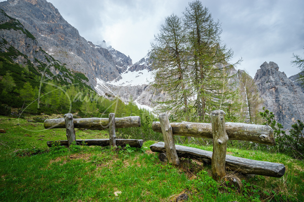 _DSC4855 | Baumgartner Markus Fotografie