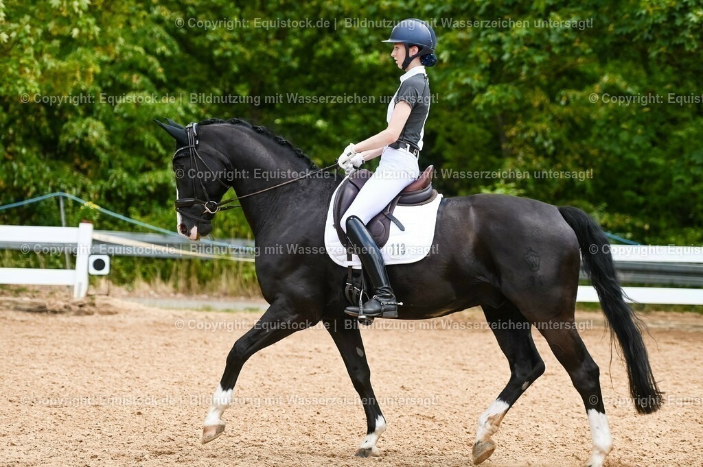 20230715_05_Dressurprüfung Kl.A++_0138 | equistock
