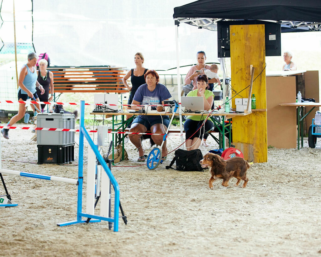 580A0239 | Peter Fridle Fotografie - Realisiert mit Pictrs.com