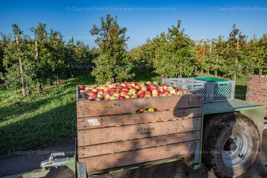 Altes Land Tourismus_ELS_3425061022 | Fotos aus den Touristenorten aus Norddeutschland. - Realisiert mit Pictrs.com