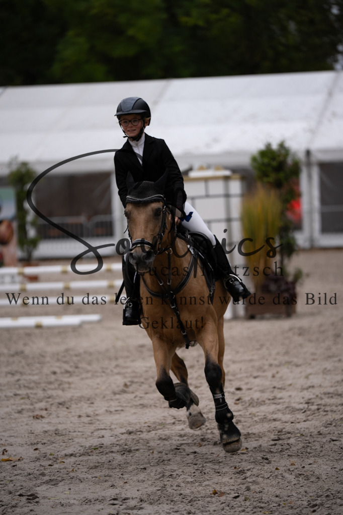 A7V08341 | Pferdefotograf