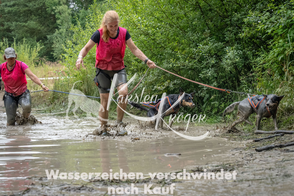 1340_ZZ91711 | kk-dogfotos