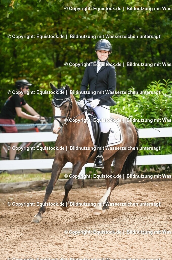 20230716_10-1_Reiter-WB Schritt - Trab - Galopp_0183 | equistock