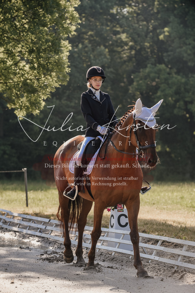 DSC_7672 | Pferde- und Turnierfotografie in Westsachsen. Pferdeportraits, Auftragszeichnungen und intuitive Kunst.