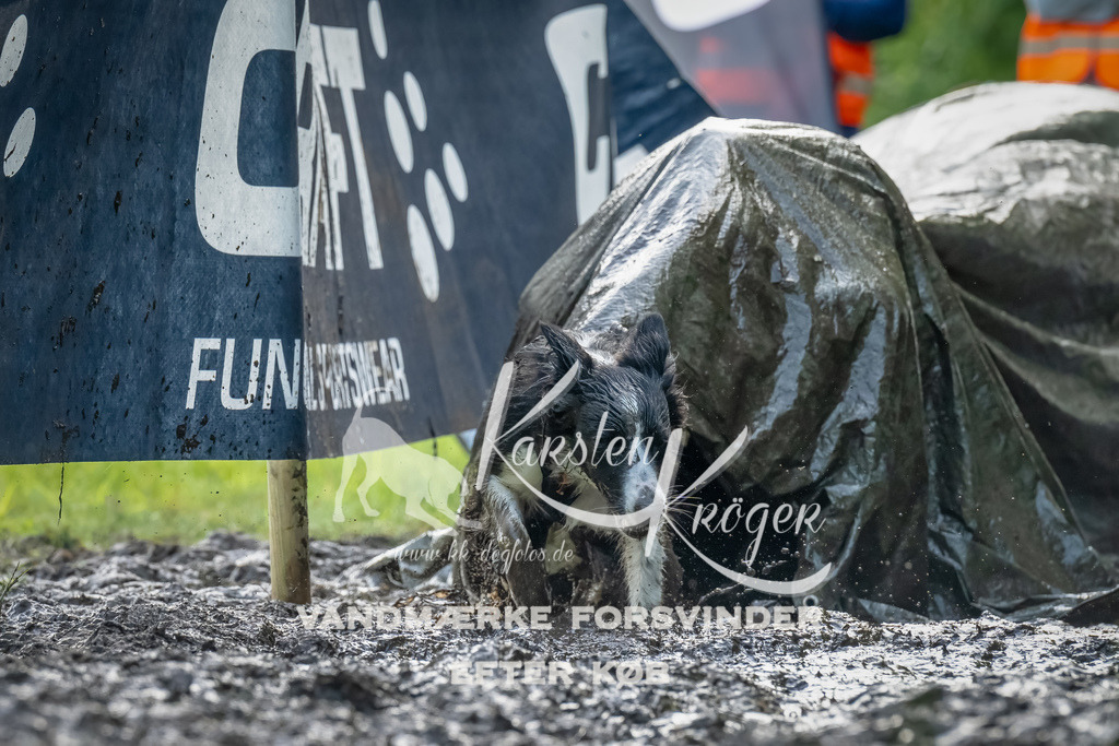 1108_ZZ93443-Bearbeitet | kk-dogfotos