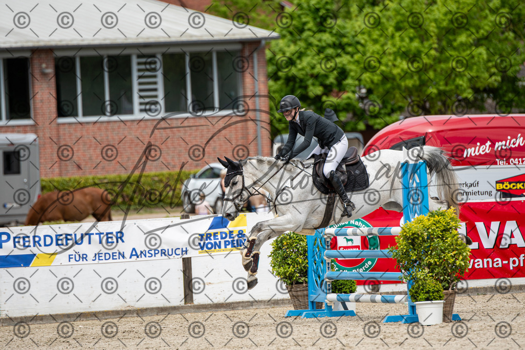 KPT_5379 | andre_photographic