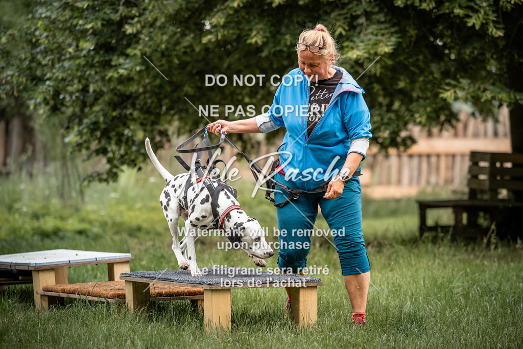 nelerasche_So-funtrail_219 | nelerasche