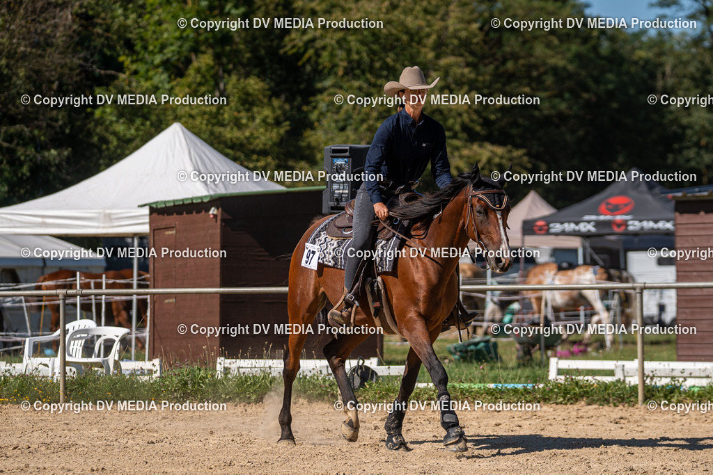 LM Heiligenwald Tag 1-1695 | dv-media-shop - Realisiert mit Pictrs.com