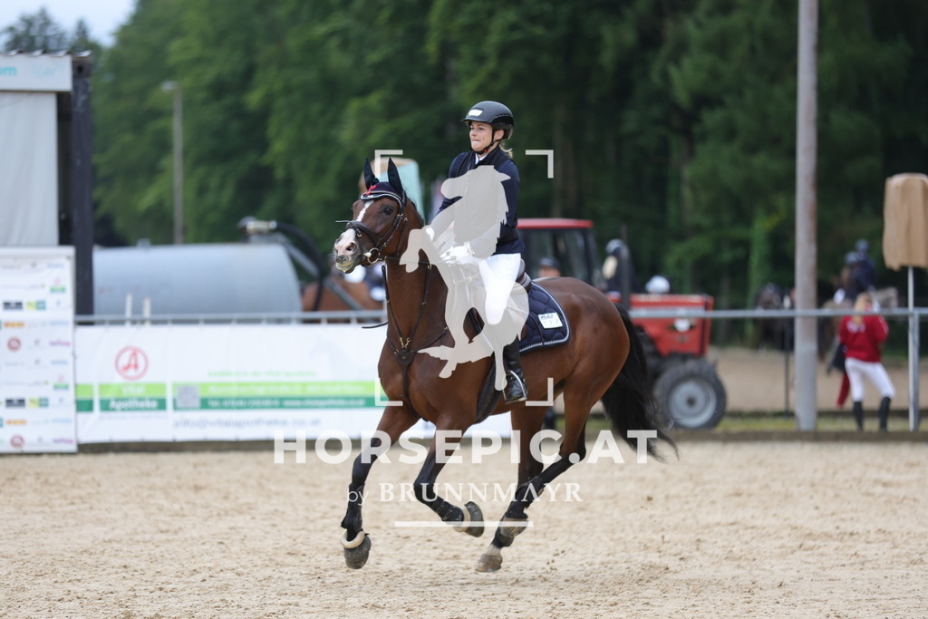 0P6A2143 | Willkommen bei Brunnmayr - Design & Fotografie – Ihrem Spezialisten für Reitturniere und Pferdeveranstaltungen in Oberösterreich, Salzburg und Bayern! Seit über 17 Jahren sind wir leidenschaftlich dabei.