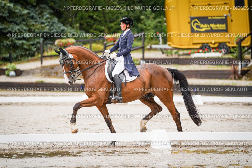 DSC08522 | Pferdegrafie