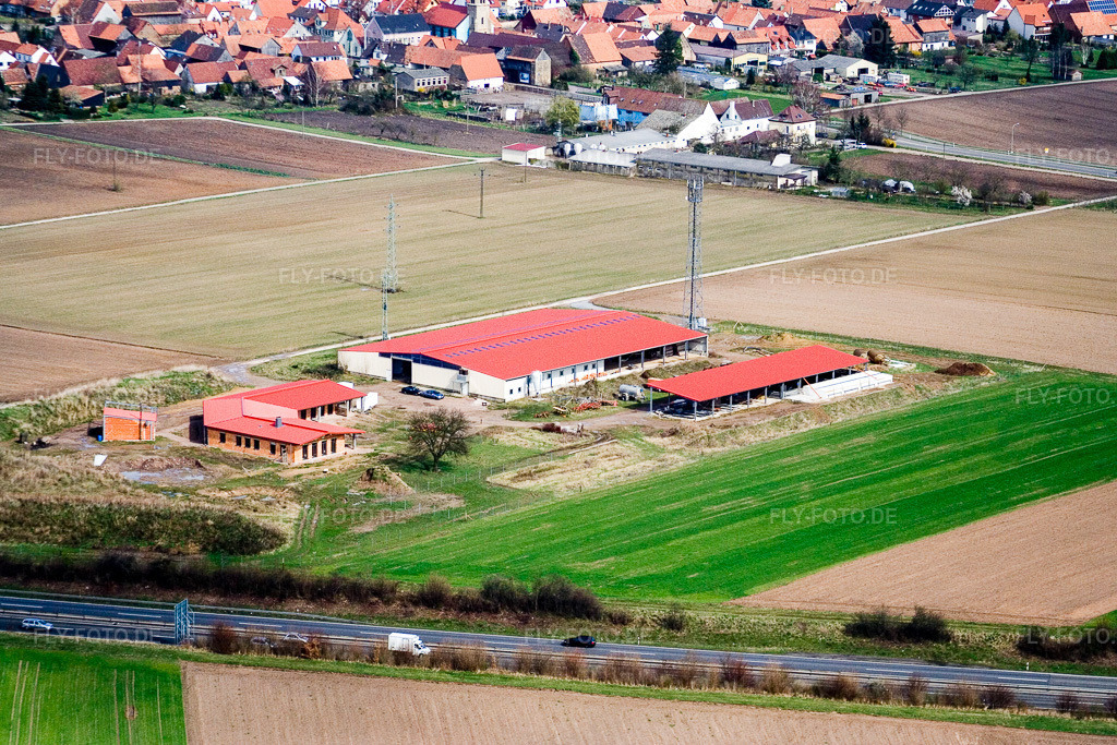Luftbild: Hühnerhof Eierfarm in Erlenbach bei Kandel im Bundesland Rheinland-Pfalz in Deutschland. Foto: IMG_9690.jpg vom 15.03.2008 durch Werner Riehm/FLY-FOTO.de