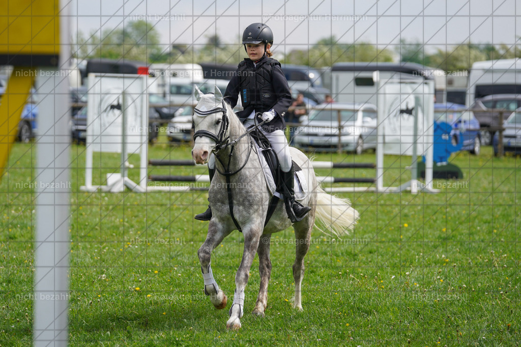 20240509-FAH02259 | Turnierbilder der Turnierfotografen Bayern, Pferdesport Fotografie, Reitsportbilder, Turnier Landberg am Lech, Turnierbilder bayern, Fotoagentur Herrmann