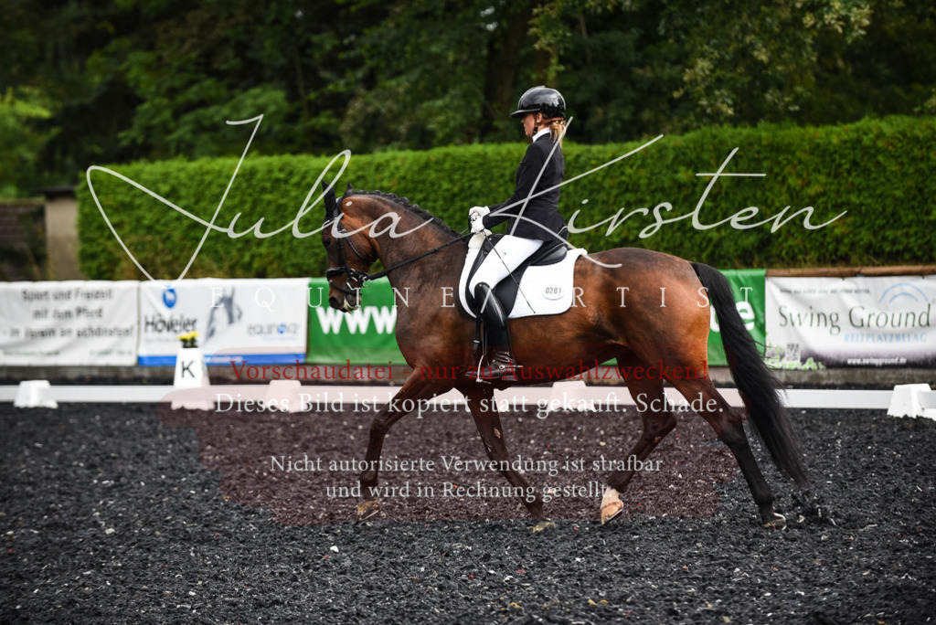 DSC_2957 | Pferde- und Turnierfotografie in Westsachsen. Pferdeportraits, Auftragszeichnungen und intuitive Kunst.