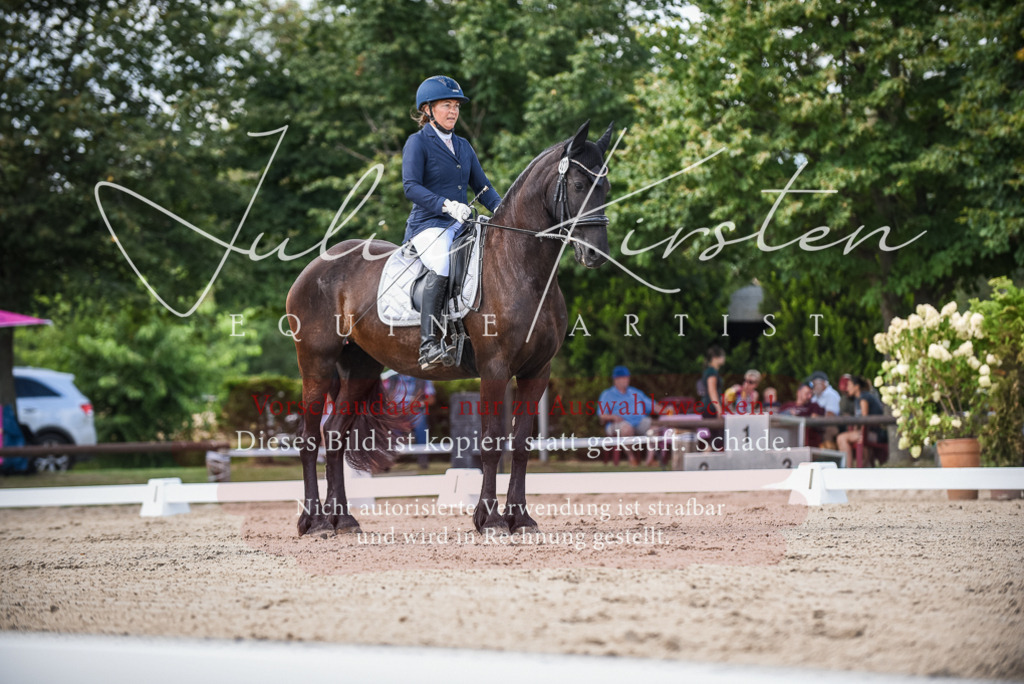 DSC_9145 | Pferde- und Turnierfotografie in Westsachsen. Pferdeportraits, Auftragszeichnungen und intuitive Kunst.