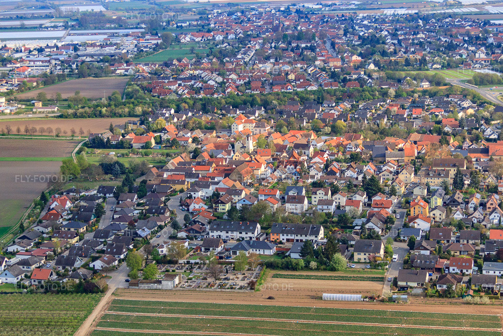 Luftbild: Ortsansicht aus Norden im Ortsteil Schauernheim in Dannstadt-Schauernheim im Bundesland Rheinland-Pfalz in Deutschland.Foto: IMG_49874.jpg vom 13.04.2012 durch Werner Riehm/FLY-FOTO.deAuflösung des Originals: 4623 x 3082 px