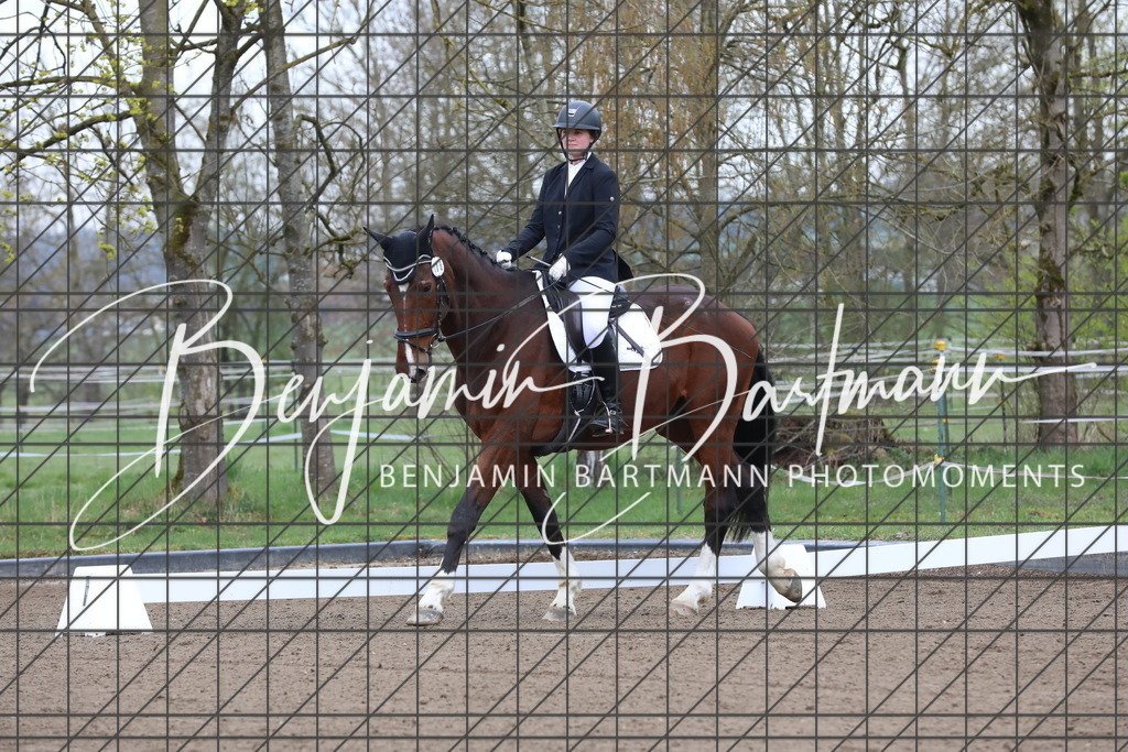 AZ2A3976 | Benjamin Bartmann Photomoments