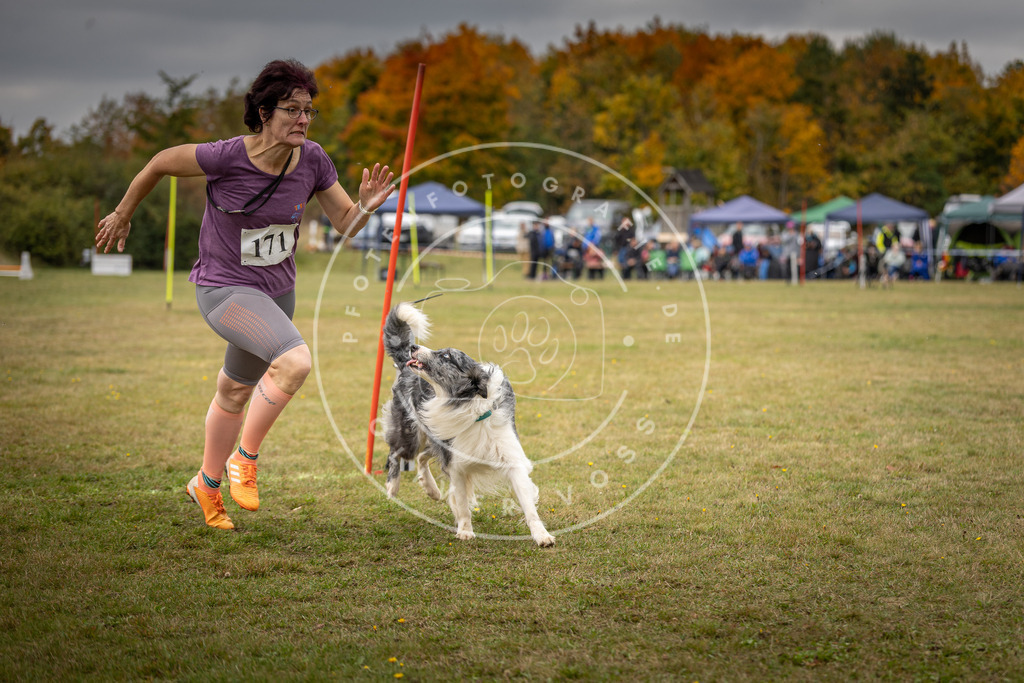Pfotenfotografie_DV3A5982 | Hundefotografie, Tierfotograf, Pfotenfotografie, Fotoshooting Hund, Hunde Portrait, Hundesport, Hundeportraits, Heideshooting, Hunde, Sportfotograf, Hundefotograf, Turnierhundsport, THS,  - Realisiert mit Pictrs.com