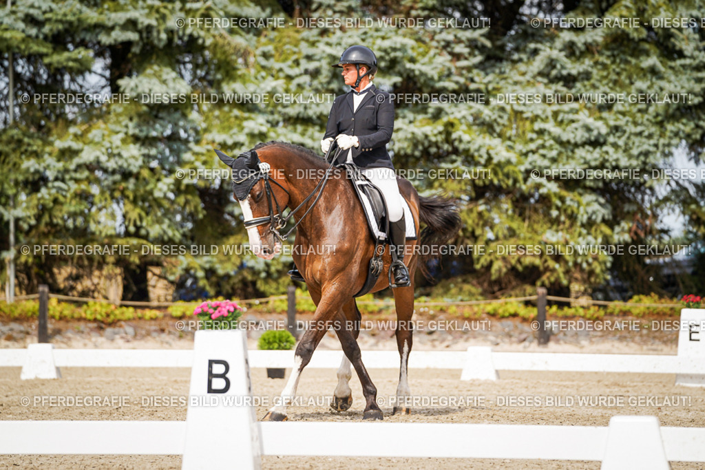 DSC06574 | Pferdegrafie