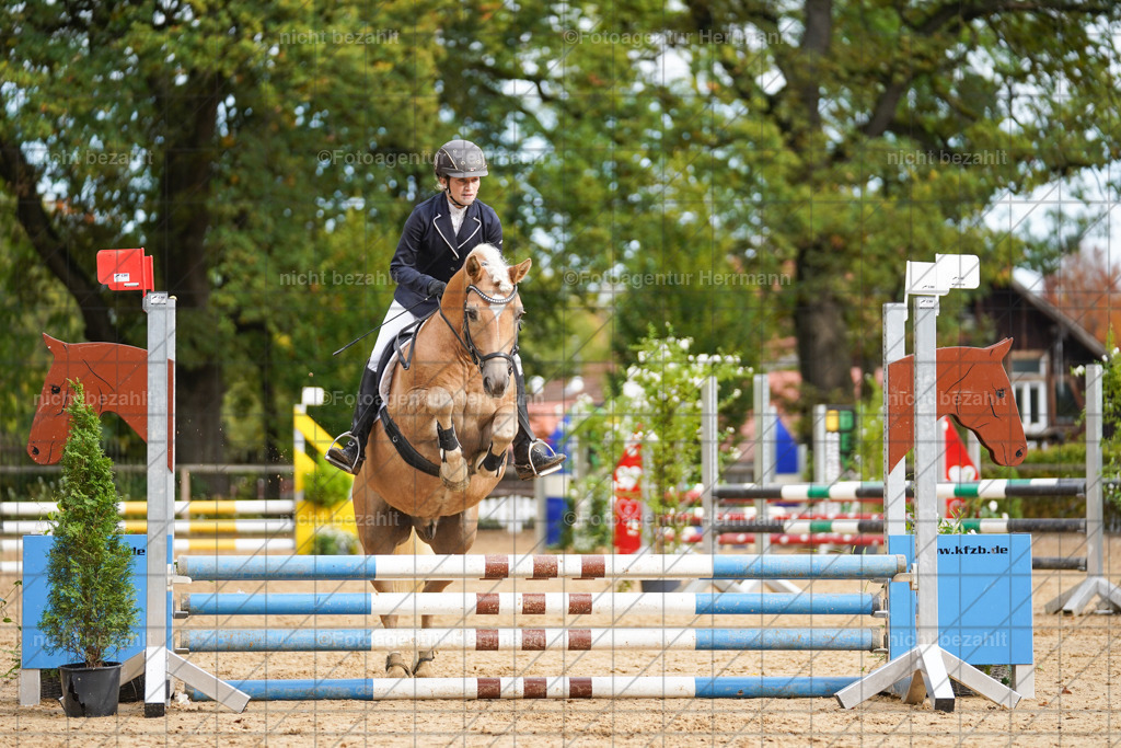 20221009-FAH08449 | Diessen am Ammersee, 2022, Dressur- und Springturnier, Reitsportbilder, Turnierfotografen Bayern, Pferdefotografen, Fotoagentur Herrmann, Turnierbilder