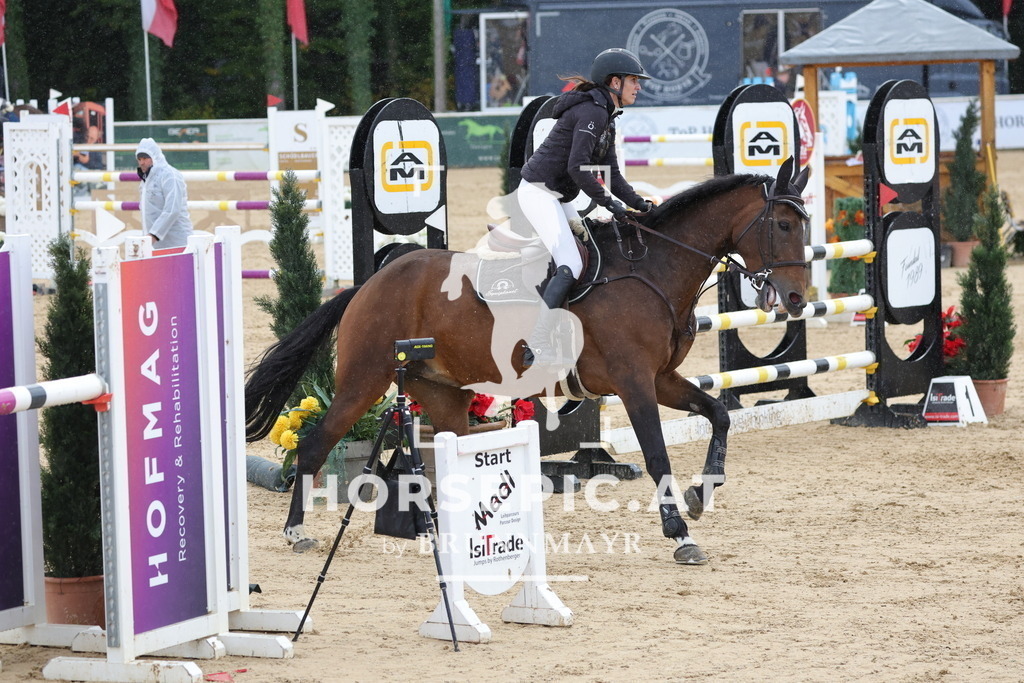 0P6A9568 | Willkommen bei Brunnmayr - Design & Fotografie – Ihrem Spezialisten für Reitturniere und Pferdeveranstaltungen in Oberösterreich, Salzburg und Bayern! Seit über 17 Jahren sind wir leidenschaftlich dabei.